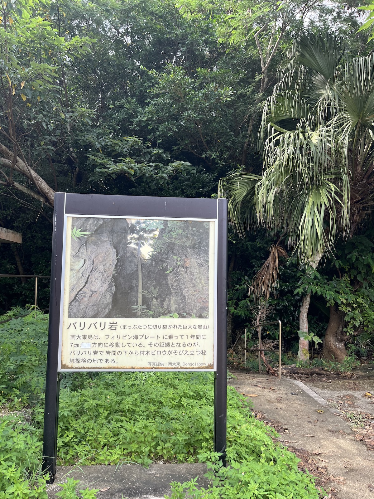 バリバリ岩