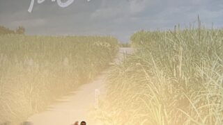 「風のマジム」沖縄先行公開 舞台挨拶の様子